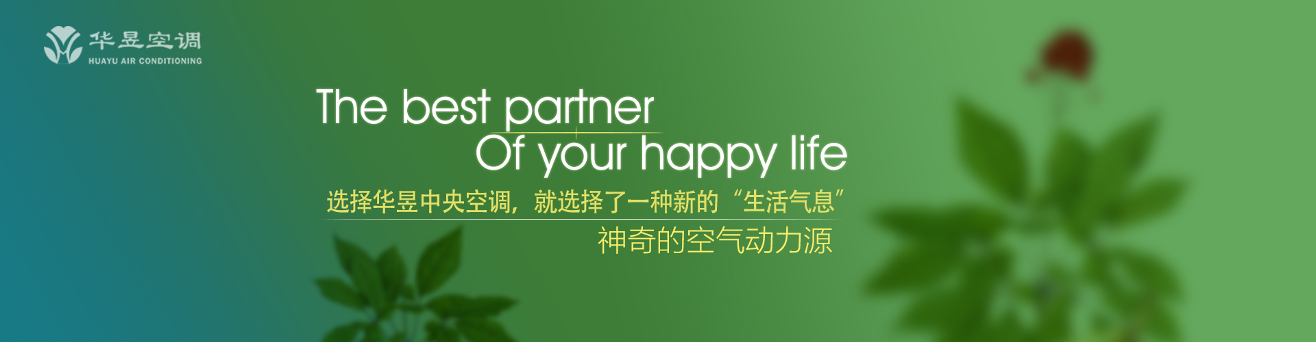 自愧不如网